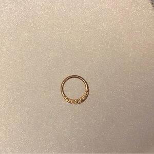 Rose Gold Septum Clicker 16 Gauge
Daith Rook Ear Ring 1.2 mm 8 mm